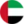 Arabic Version